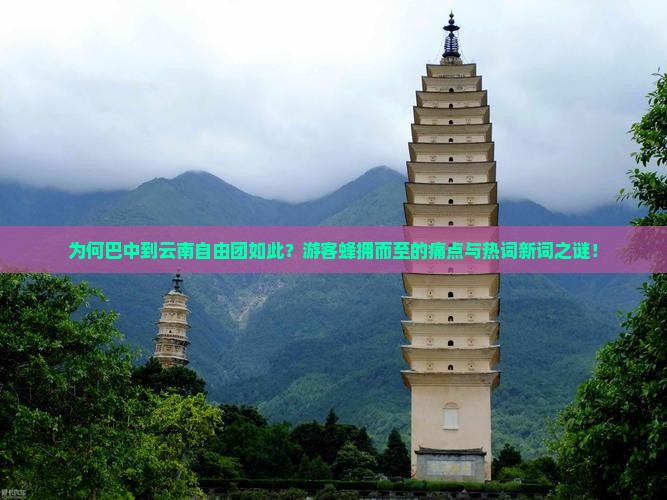 为何巴中到云南自由团如此？游客蜂拥而至的痛点与热词新词之谜！