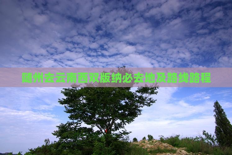 随州去云南西双版纳必去地及路线路程
