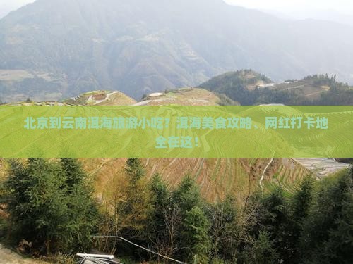 北京到云南洱海旅游小吃？洱海美食攻略、网红打卡地全在这！