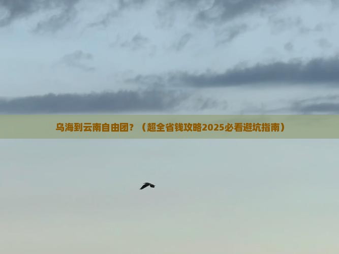 乌海到云南自由团