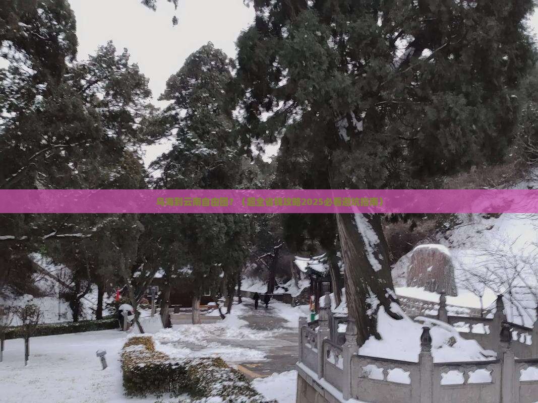 乌海到云南自由团