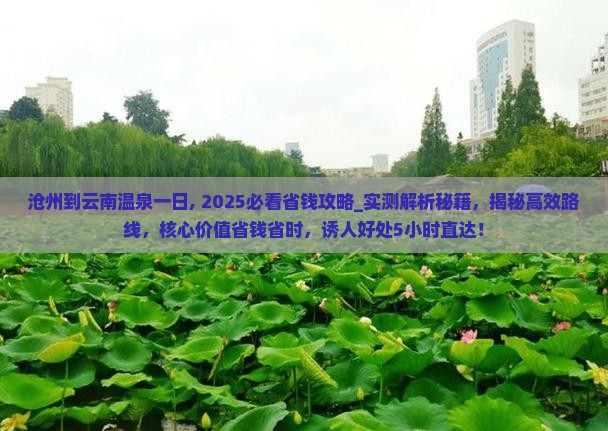 沧州到云南温泉一日