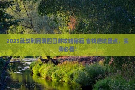 武汉到云南昆明四日游