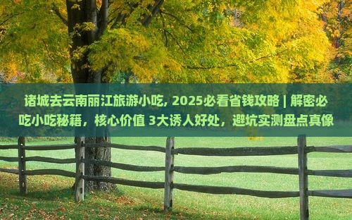 诸城去云南丽江旅游小吃