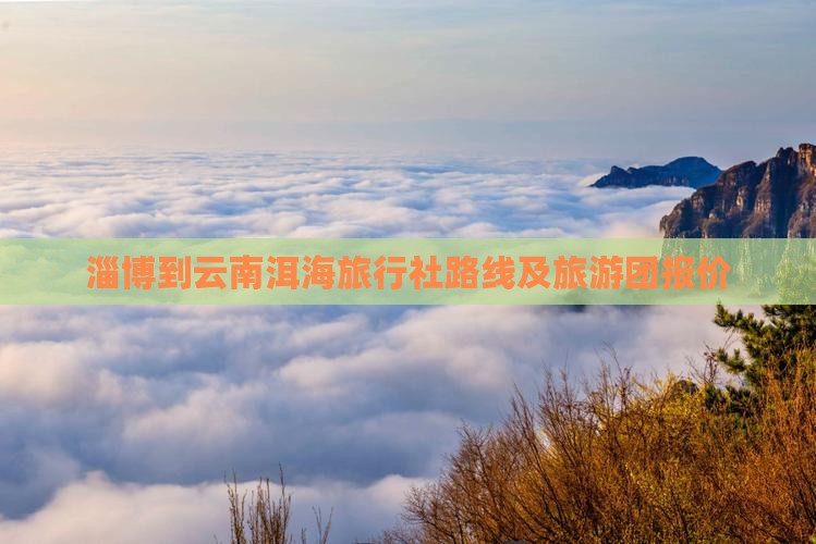 淄博到云南洱海旅行社