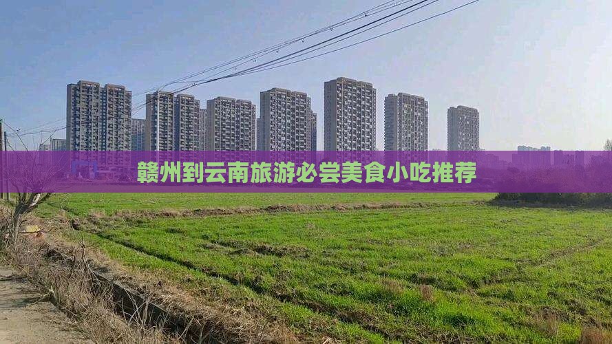 赣州到云南旅游小吃