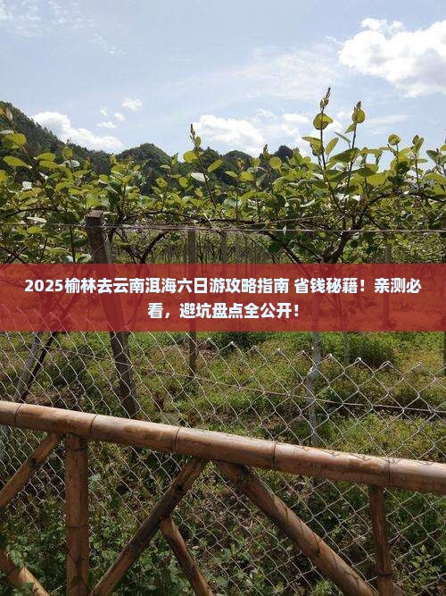 榆林去云南洱海六日游