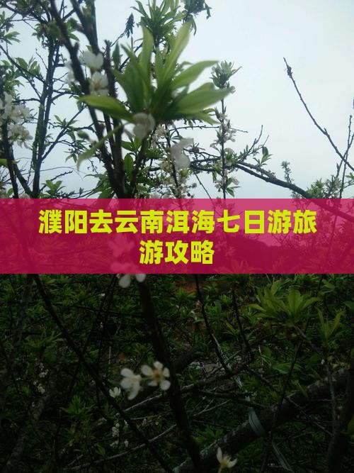 濮阳去云南洱海七日游