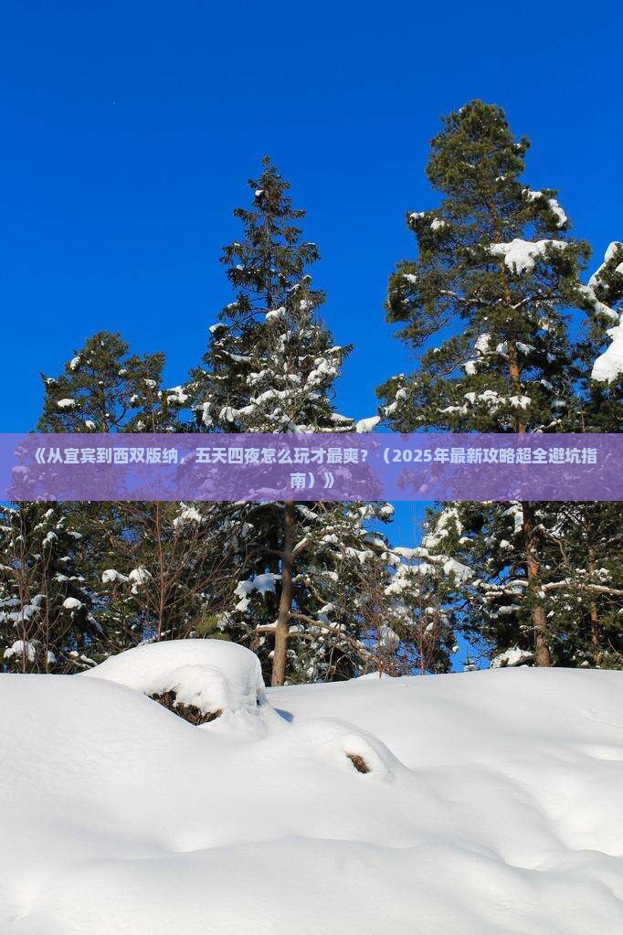 宜宾去云南西双版纳五日游