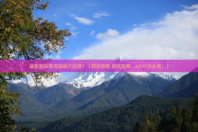 崇左到云南温泉六日游