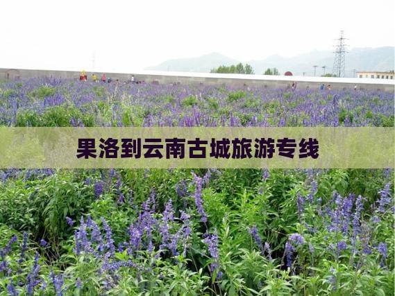 果洛到云南古城旅行社