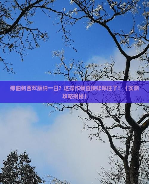 那曲到云南西双版纳一日