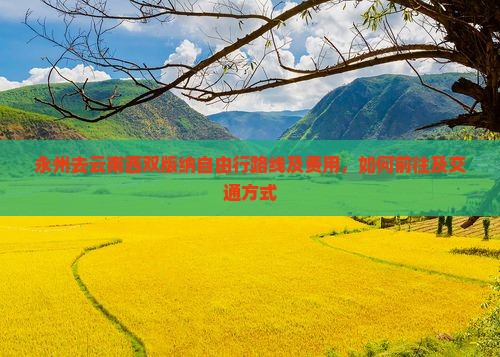 永州去云南西双版纳自由行