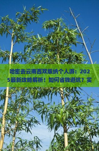 哈密去云南西双版纳个人游