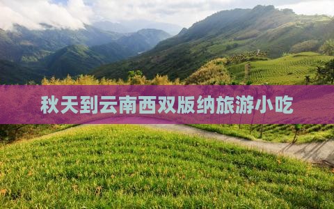 秋天到云南西双版纳旅游小吃