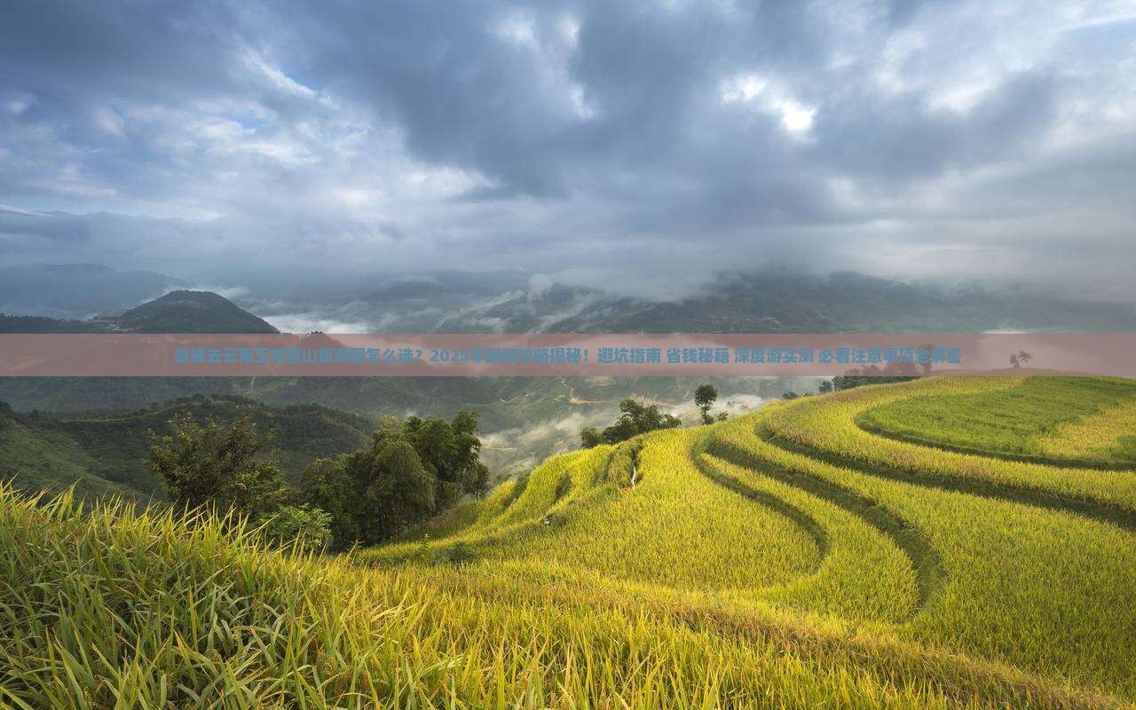 张掖去云南玉龙雪山大型旅游团