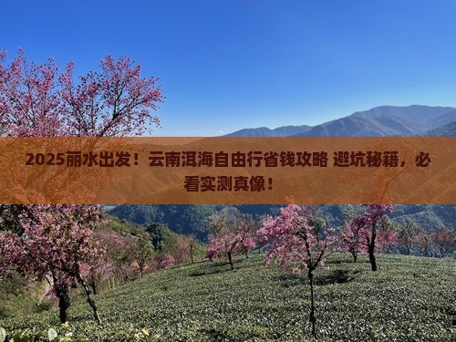 丽水去云南洱海自由行