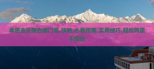孝感去云南古城门票