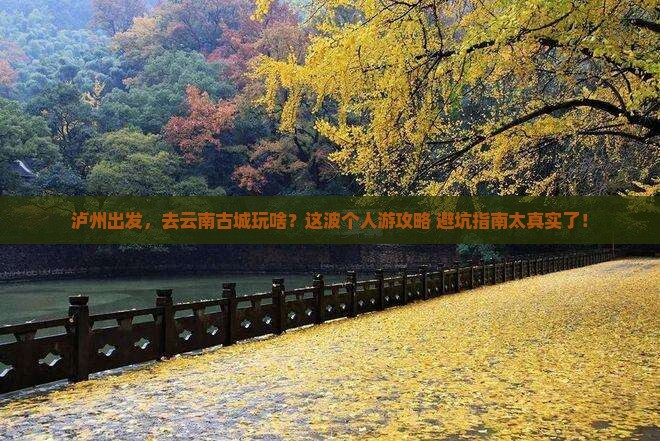 泸州到云南古城个人游