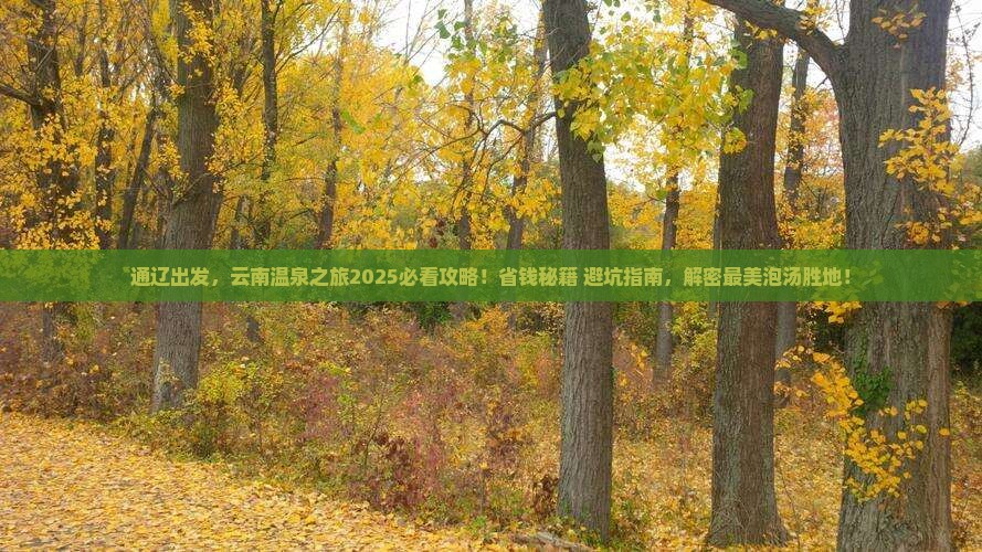 通辽到云南温泉旅游