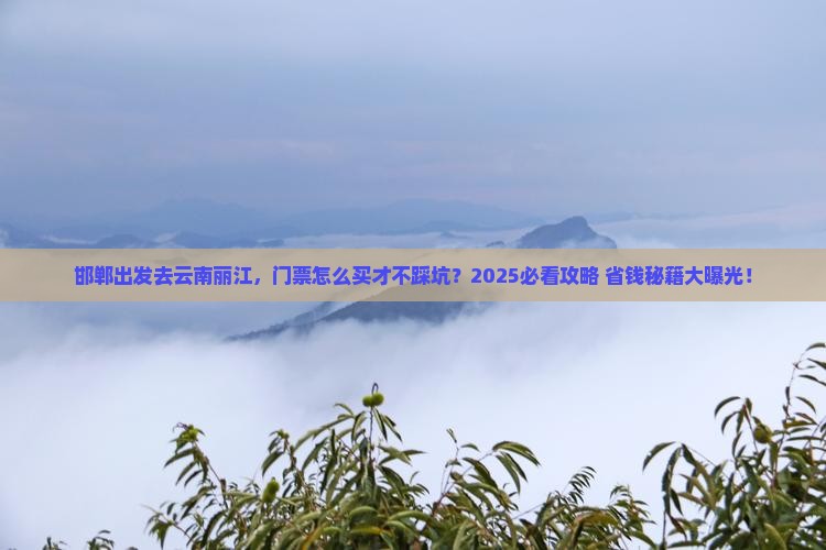 邯郸去云南丽江门票
