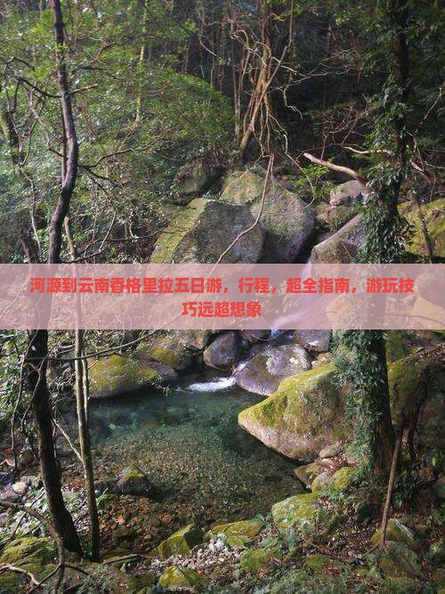 河源到云南香格里拉五日游