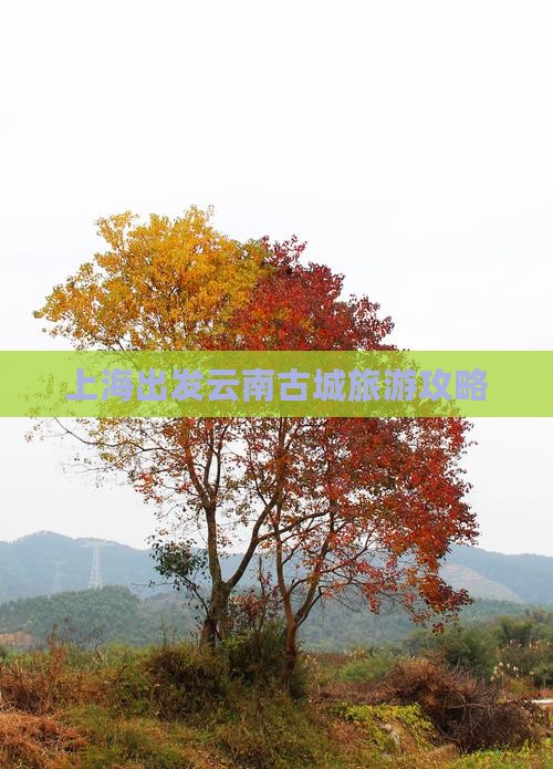 上海去云南古城旅游