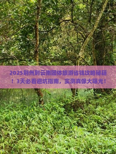 荆州到云南团体旅游