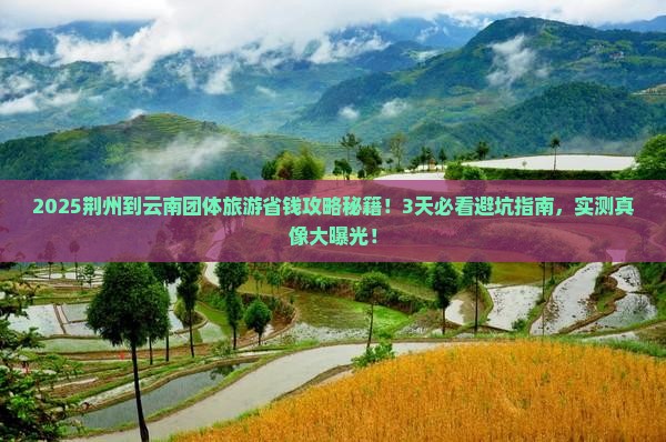 荆州到云南团体旅游