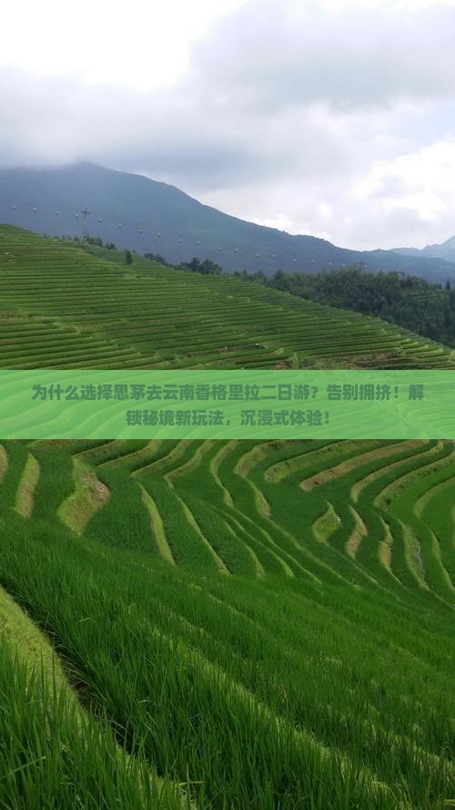 思茅去云南香格里拉二日游