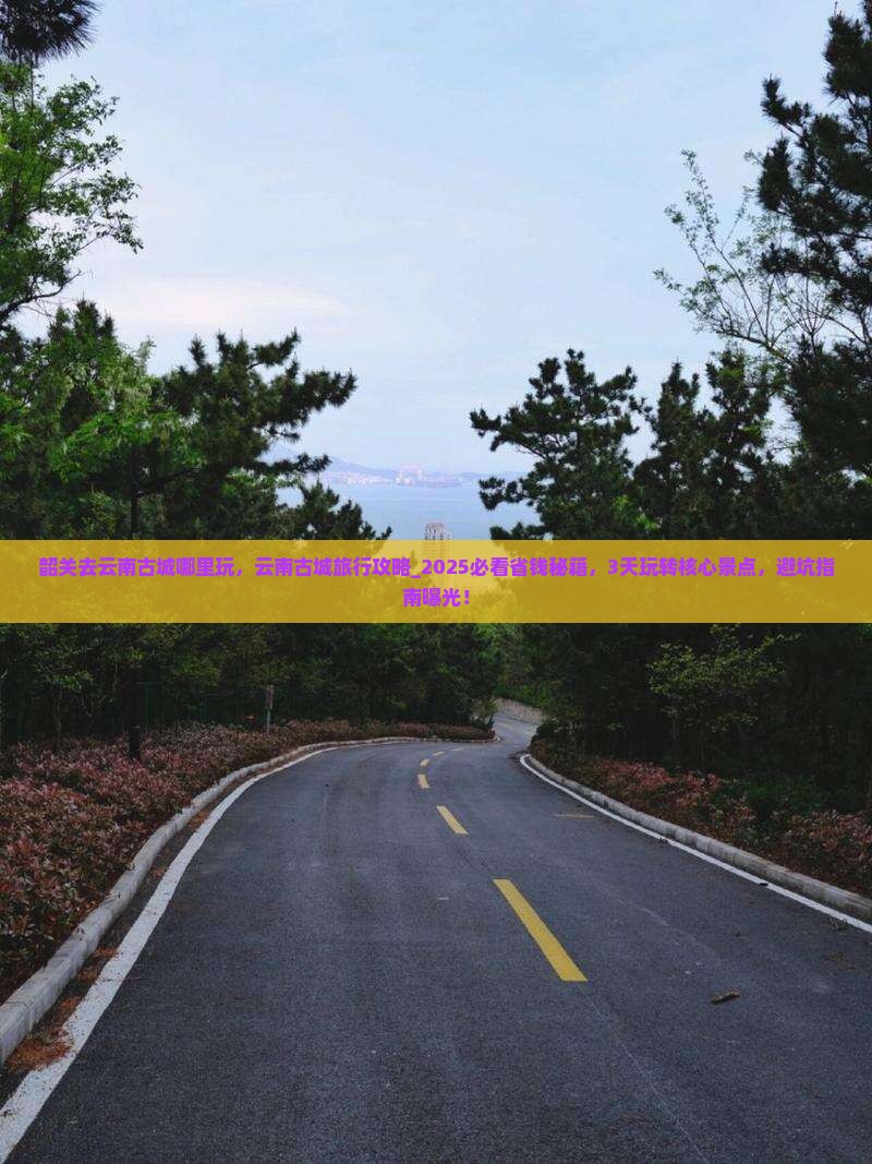 韶关去云南古城哪里玩