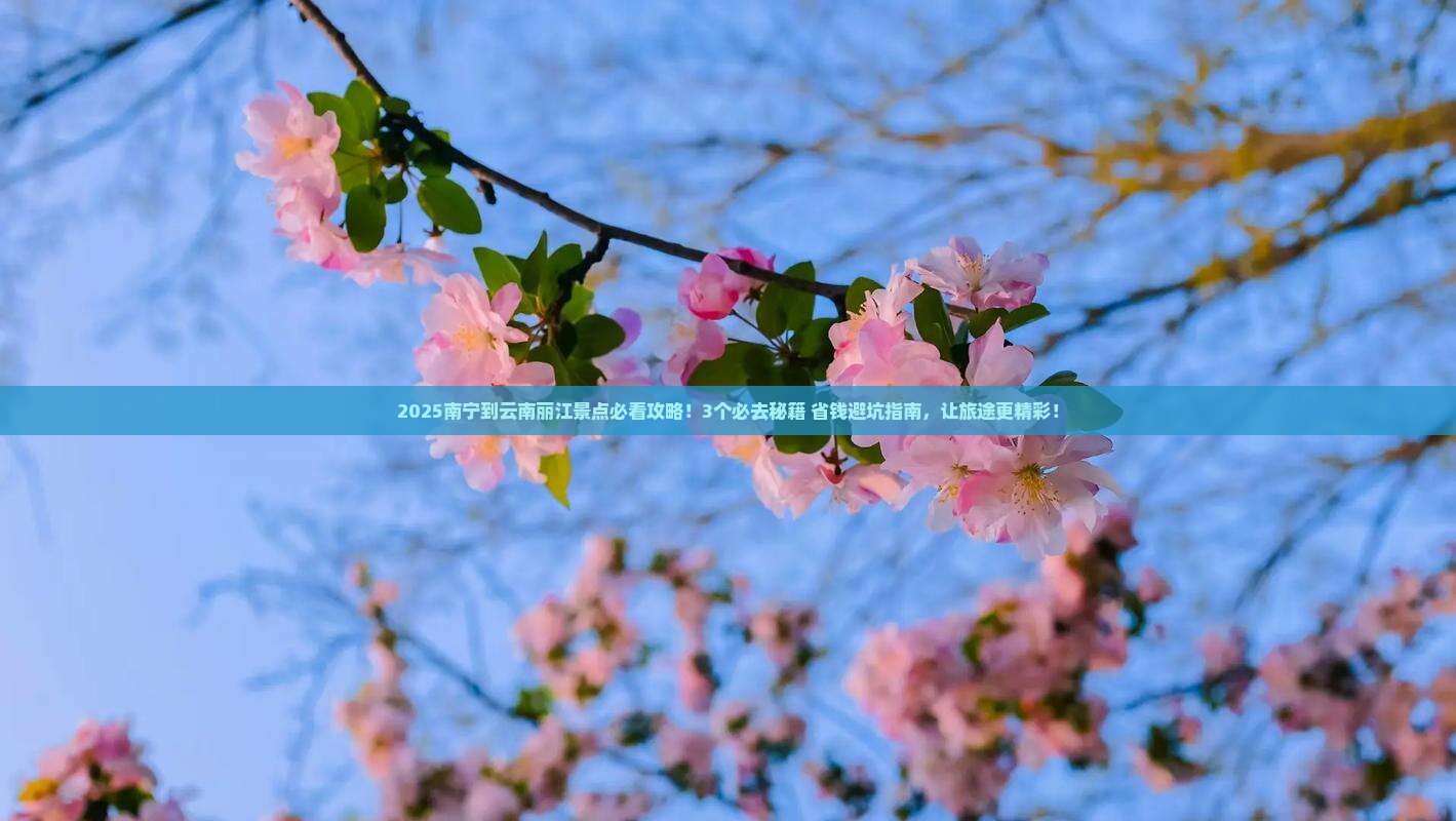 南宁到云南丽江景点