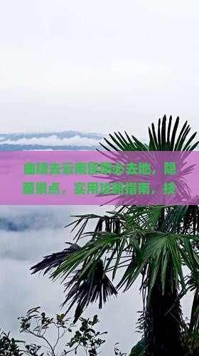 曲靖去云南昆明必去地