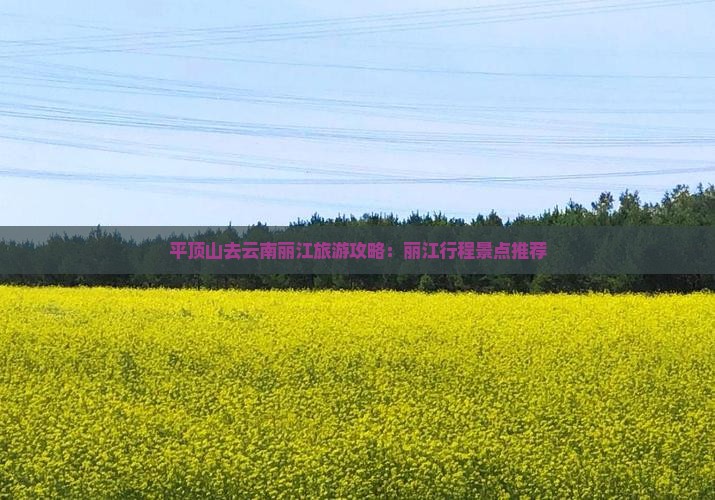 平顶山去云南丽江景点