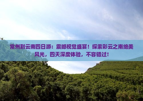 常州到云南四日游