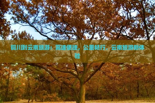 铜川到云南旅游