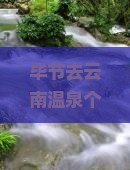 毕节去云南温泉个人游