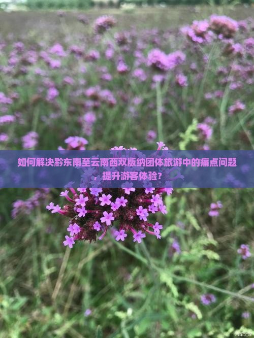 如何解决黔东南至云南西双版纳团体旅游中的痛点问题，提升游客体验？