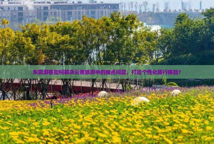 东莞游客如何解决云南旅游中的痛点问题，打造个性化旅行体验？