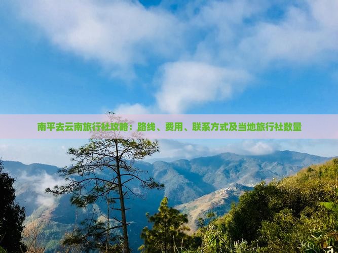 南平去云南旅行社攻略：路线、费用、联系方式及当地旅行社数量
