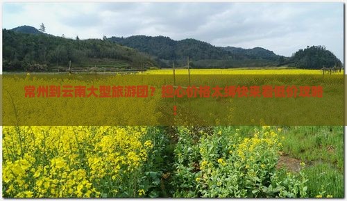 常州到云南大型旅游团？担心价格太缚快来看低价攻略！
