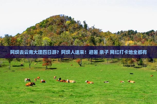 阿坝去云南大理四日游？阿坝人速来！避暑+亲子+网红打卡地全都有