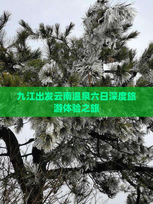 九江出发云南温泉六日深度旅游体验之旅
