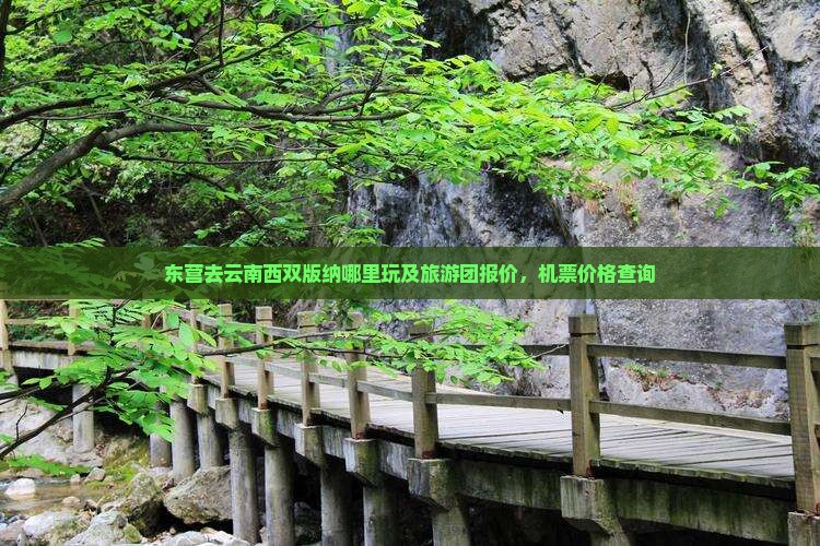 东营去云南西双版纳哪里玩及旅游团报价，机票价格查询