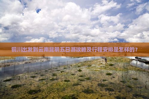 铜川出发到云南昆明五日游攻略及行程安排是怎样的？