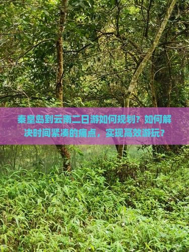 秦皇岛到云南二日游如何规划？如何解决时间紧凑的痛点，实现高效游玩？