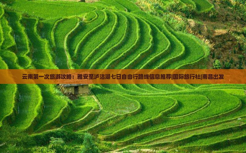 云南第一次旅游攻略：雅安至泸沽湖七日自由行路线信息推荐|国际旅行社|南昌出发