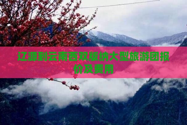 辽源到云南西双版纳大型旅游团报价及费用