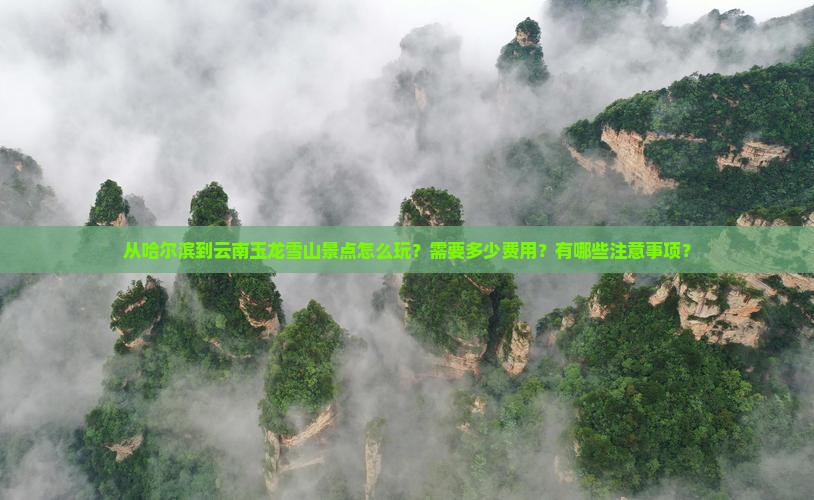 从哈尔滨到云南玉龙雪山景点怎么玩？需要多少费用？有哪些注意事项？