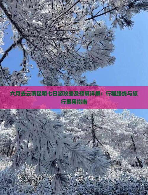 六月去云南昆明七日游攻略及预算详解：行程路线与旅行费用指南